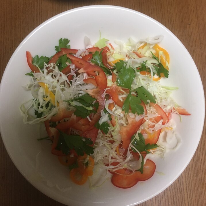 千切りキャベツの彩りアレンジサラダ レシピ 作り方 By きくちねこ 楽天レシピ